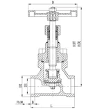 Van chịu lạnh tay ngắn DJ-25GY