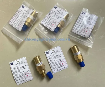 Van an toàn đường ống DN8 - 15,6bar