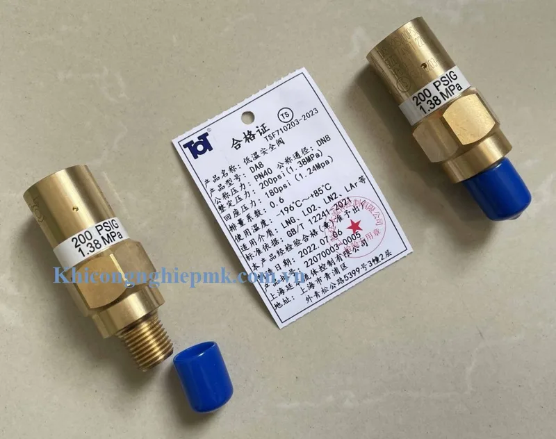 Van an toàn đường ống DN8 - 15,6bar