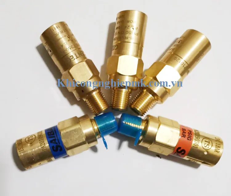 Van an toàn đường ống DN8 - PN40