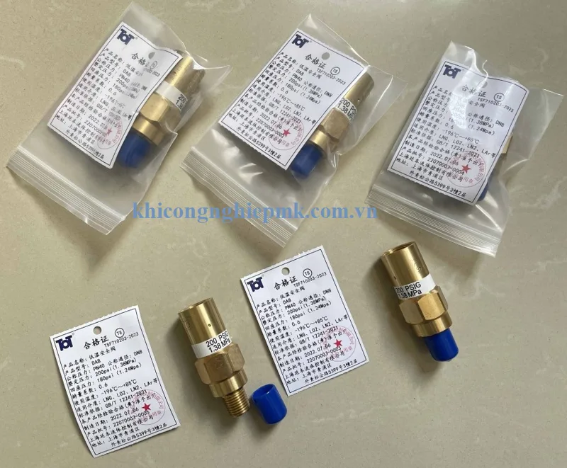 Van an toàn đường ống DN8 - 15,6bar